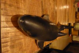 Kult Haifisch Gummi 43cm  für Sammler