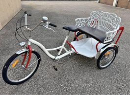 Unica bicicletta tre ruote 
