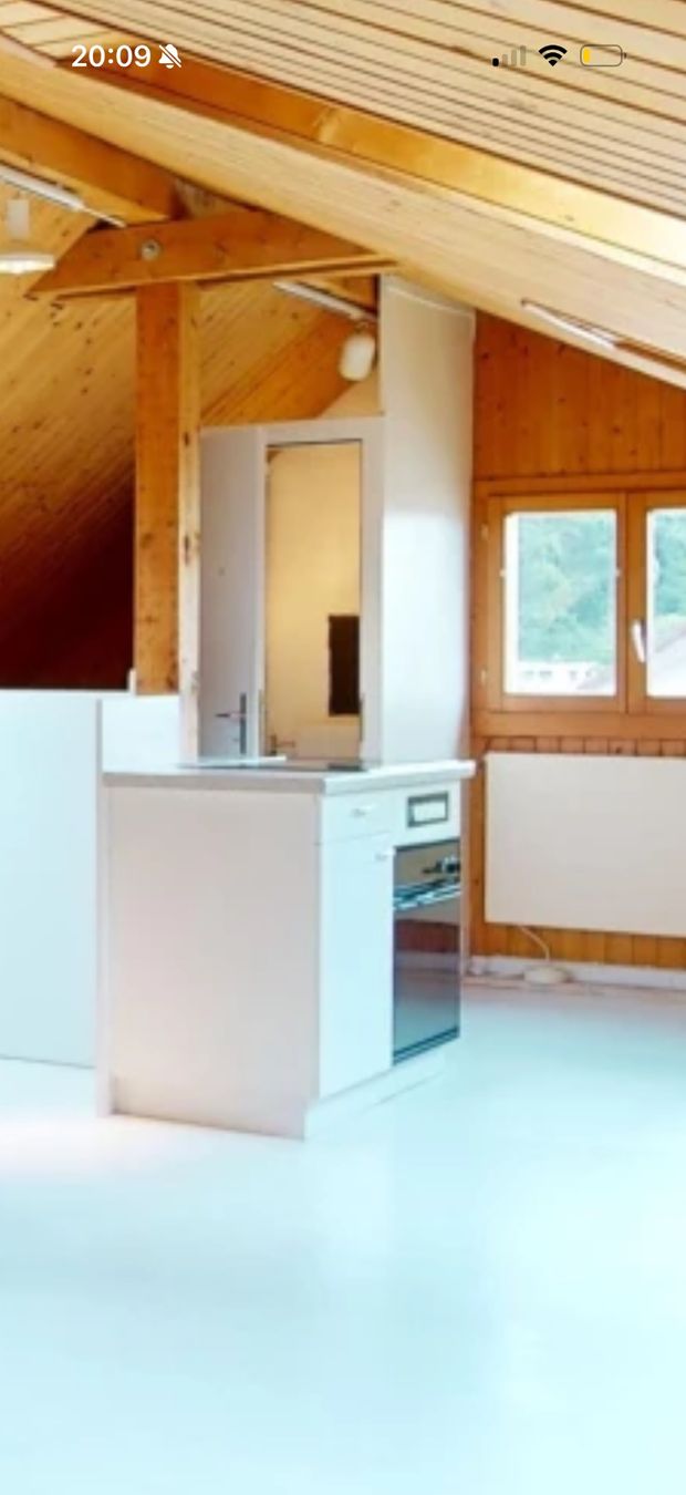 Porte: Türrahmen – Usato da Geroldswil venduto da Landolt8888 1