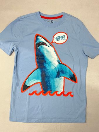 Junge T-shirt  Gr. 160 Y13 Gap Kids