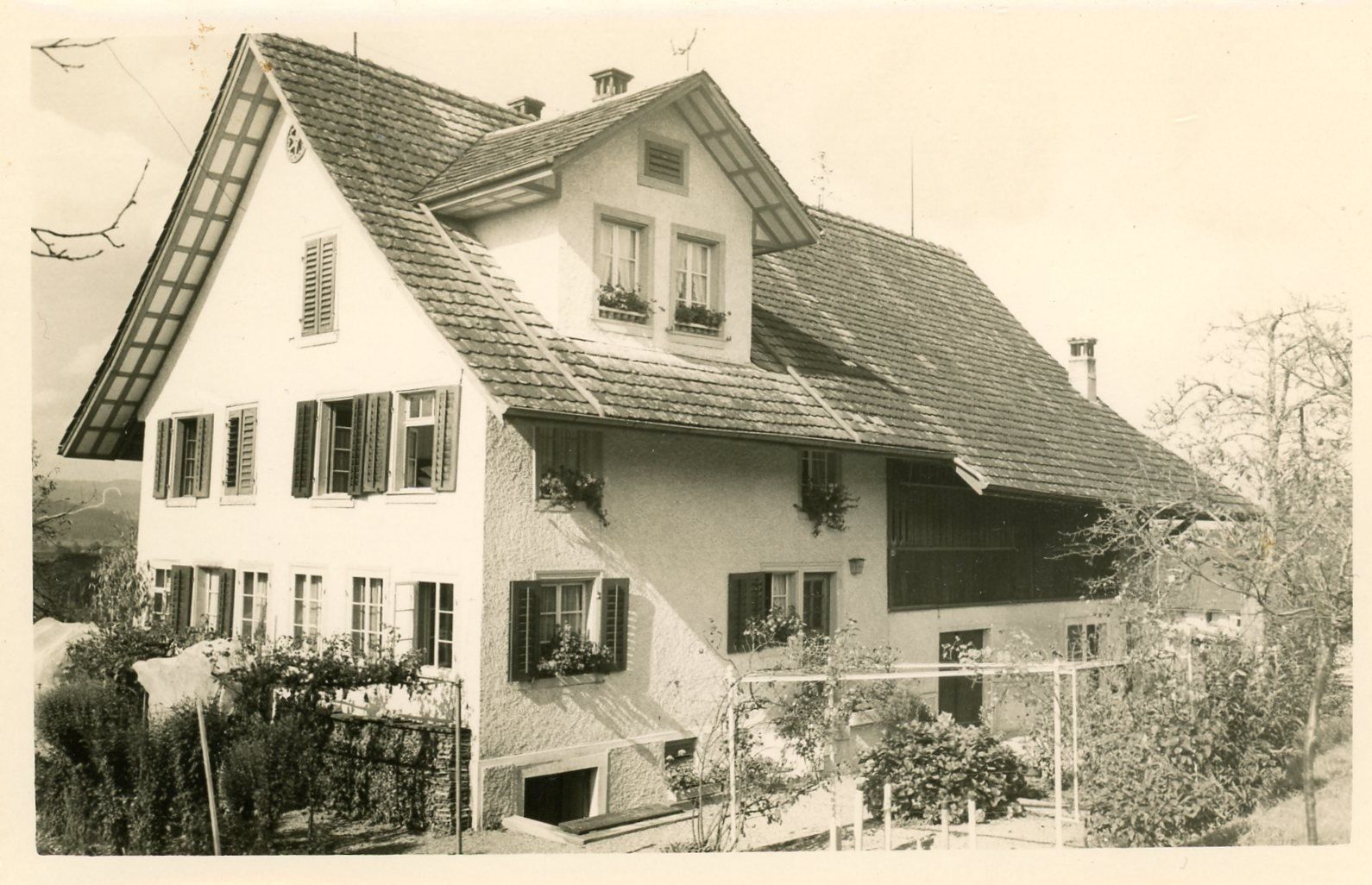Cartoline postali: OBFELDEN ? – Usato da Einsiedeln venduto da otm_7s5v