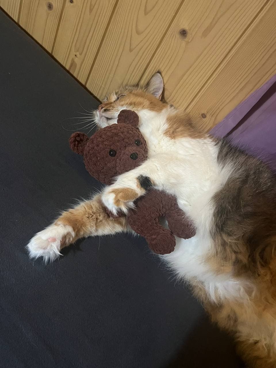 Giocattoli: Amigurumi-Bär – Nuovo (secondo la descrizione) da Wassen UR venduto da Mariianita