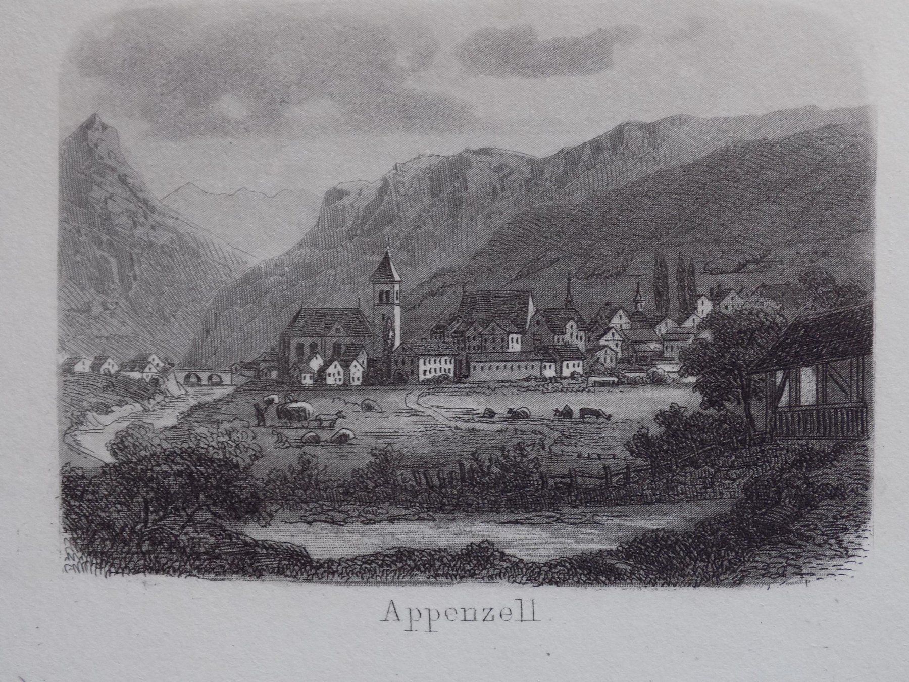 Incisioni: Appenzell – Usato da Risch venduto da Rischli15 8