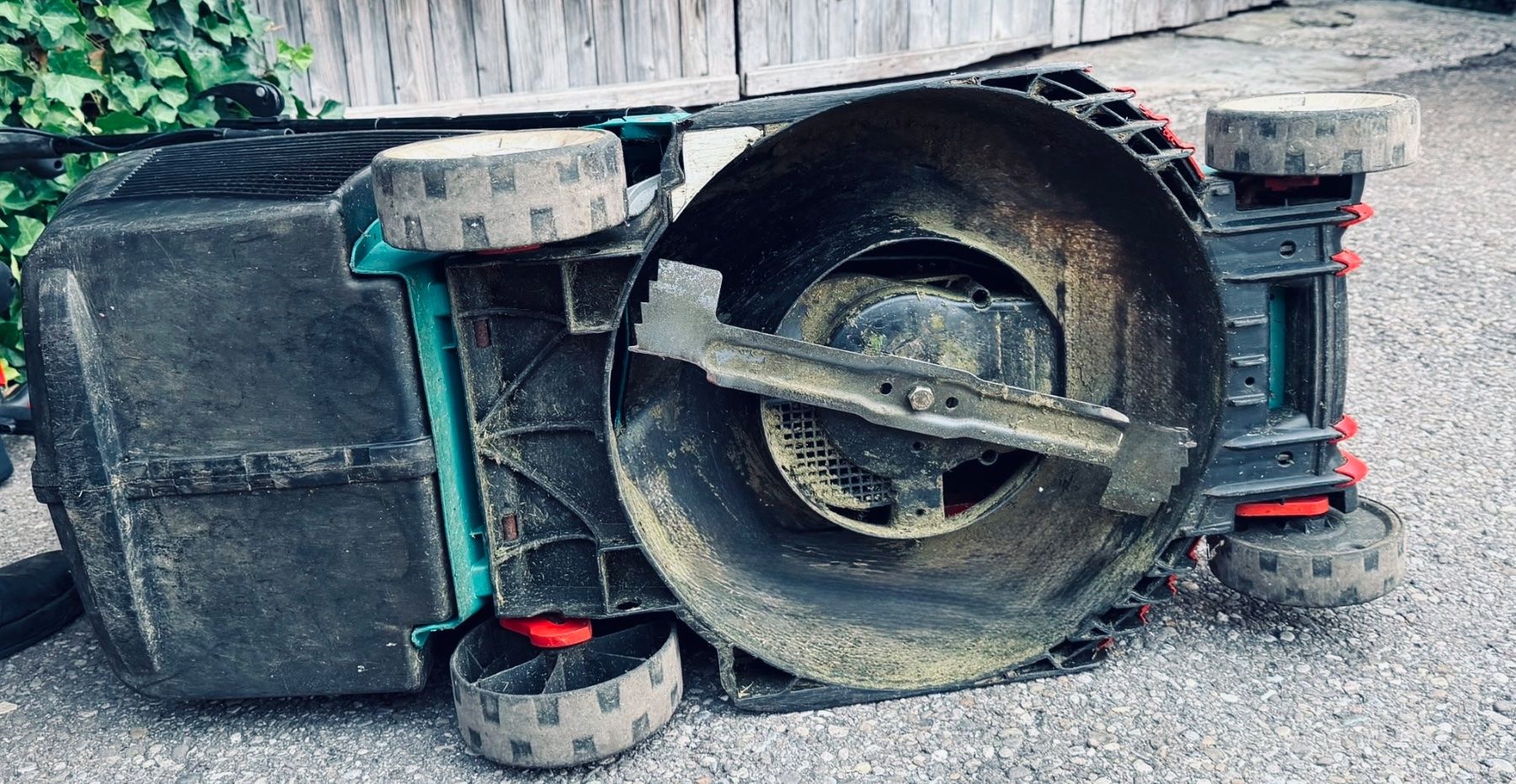 Bosch Tondeuses à gazon: Bosch Rotak 43 Li Rasenmäher 36V – D'occasion à Adlikon b. Regensdorf par Teo19 7