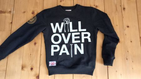 bear Inc pullover (s)