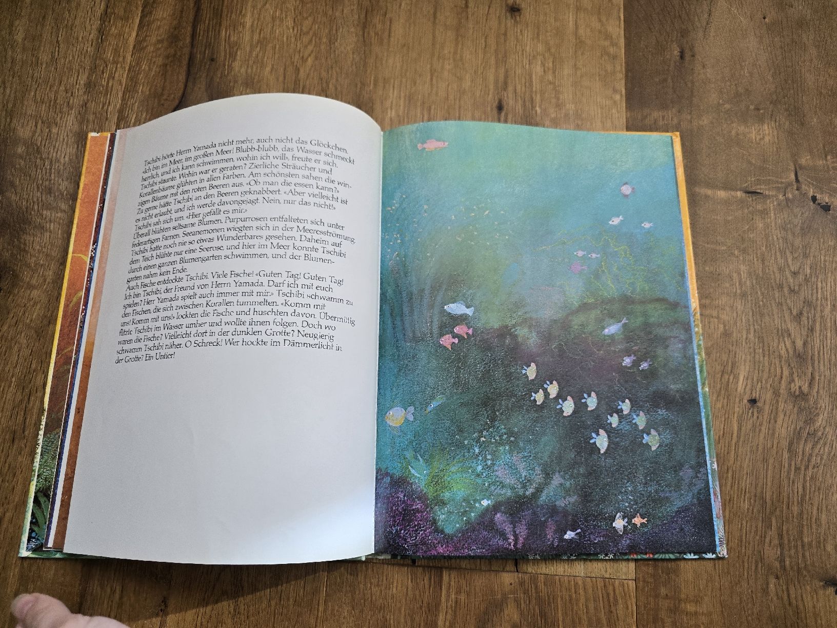 Libri: Tschibi und das grosse Meer - Gerda Marie Scheidl, – Usato da Wittenbach venduto da Tigerlili 5