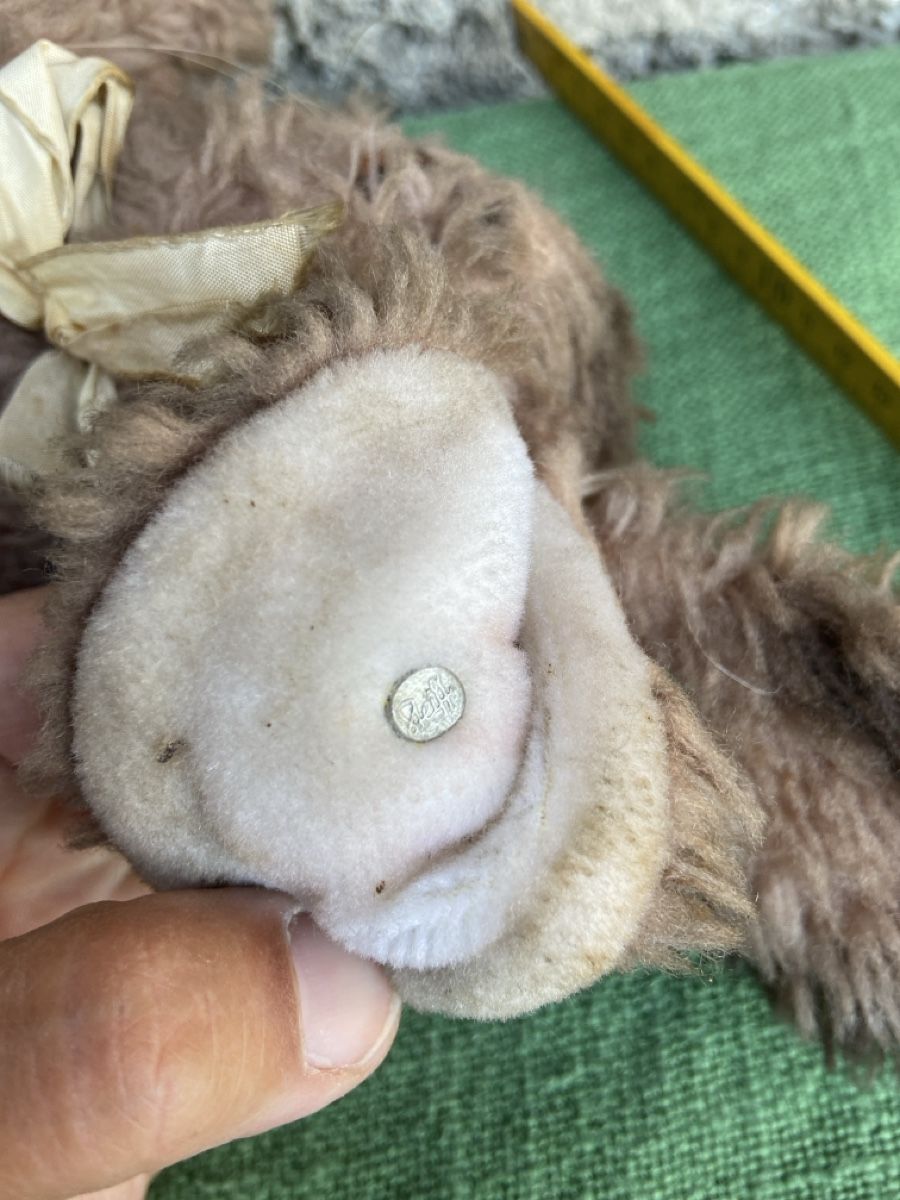 Steiff Spielzeuge: Alte steif Haas Cosy – Gebraucht aus Brienz BE von hey_z9vg 1