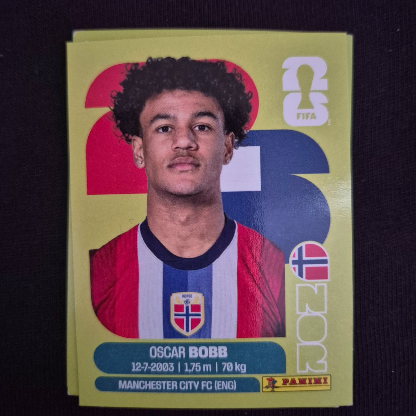 Panini Carte collezionabili: NOR 20 Panini FIFA WM 2026 – Nuovo (secondo la descrizione) da Riehen venduto da tmw_c29m