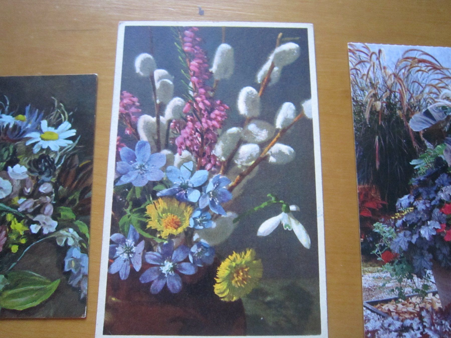 Ansichtskarten: No2 Postkarten Blumen – Gebraucht aus Gordola von Polentaefung 2