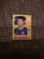 Panini WM 2026 BIH 15 Bajraktarevic