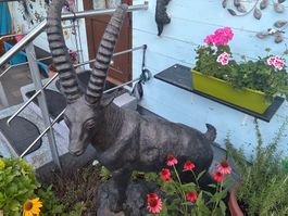 Steinbock aus Bronce in Lebensgrösse