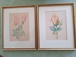 E. Becker ROSES