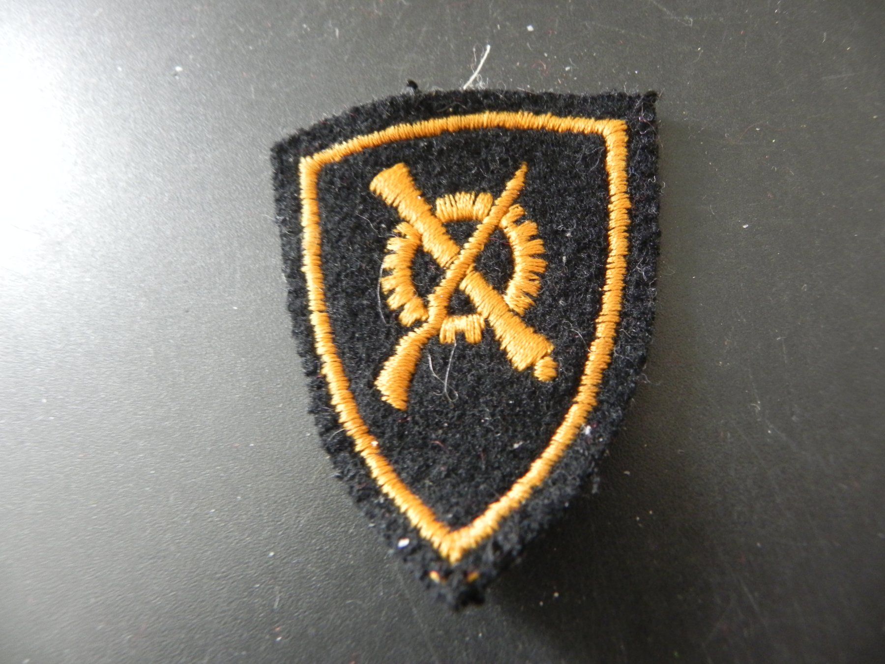 Spille & Fermagli: Alter Armee Badge – Usato da Biel/Bienne venduto da Gogolozi