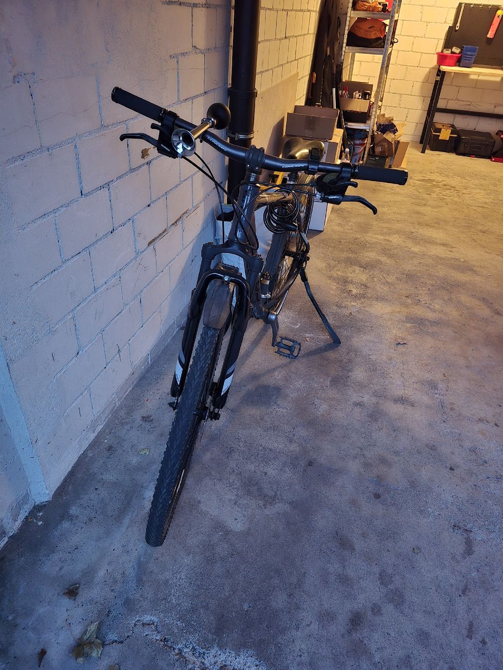 Velos: Fahrrad Focus – Gebraucht aus Kreuzlingen von yugiohcardmarket 2