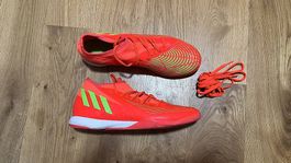 Chaussure de salle [EU : 43.5] (Adidas Predator)