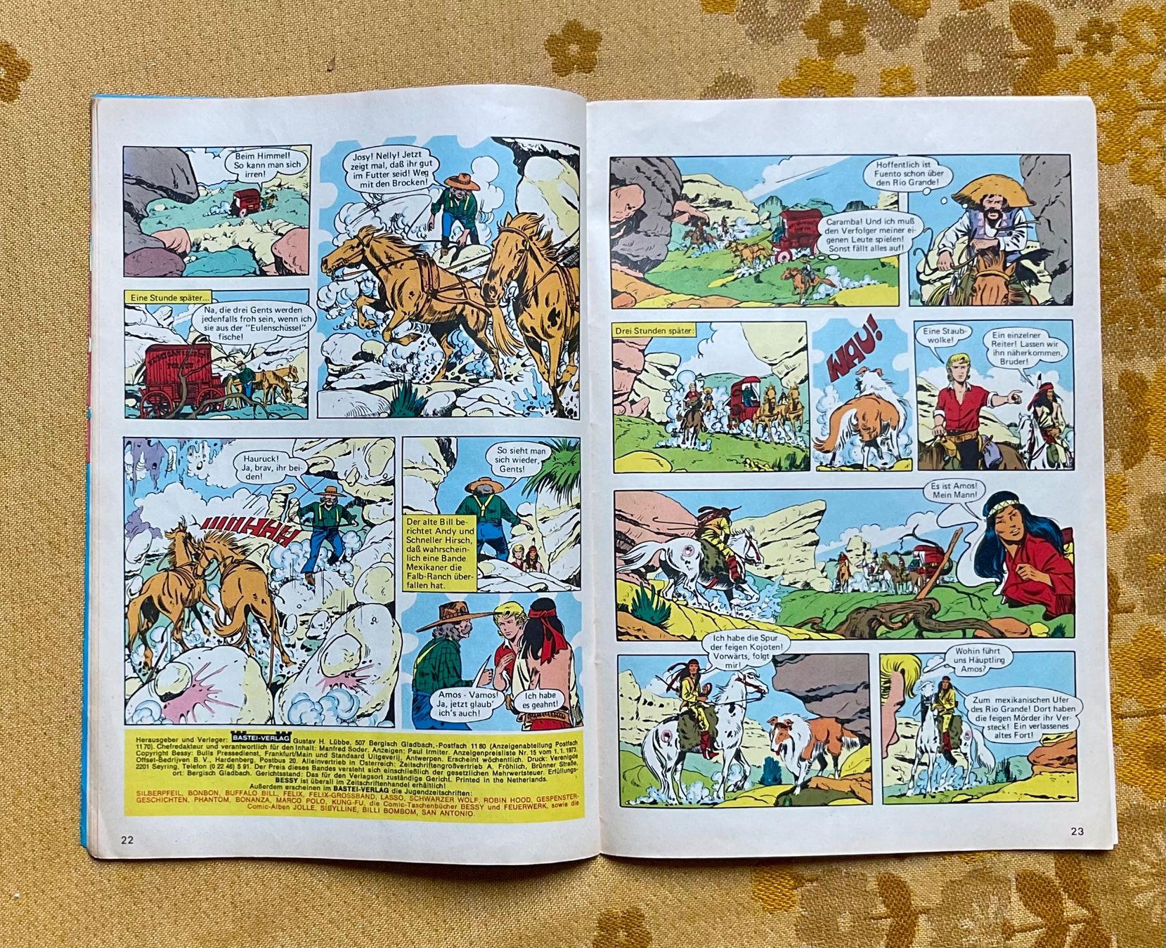 Fumetti: Bessy Heft Nr 498 von 1973 ? – Usato da Endingen venduto da nathan05 6