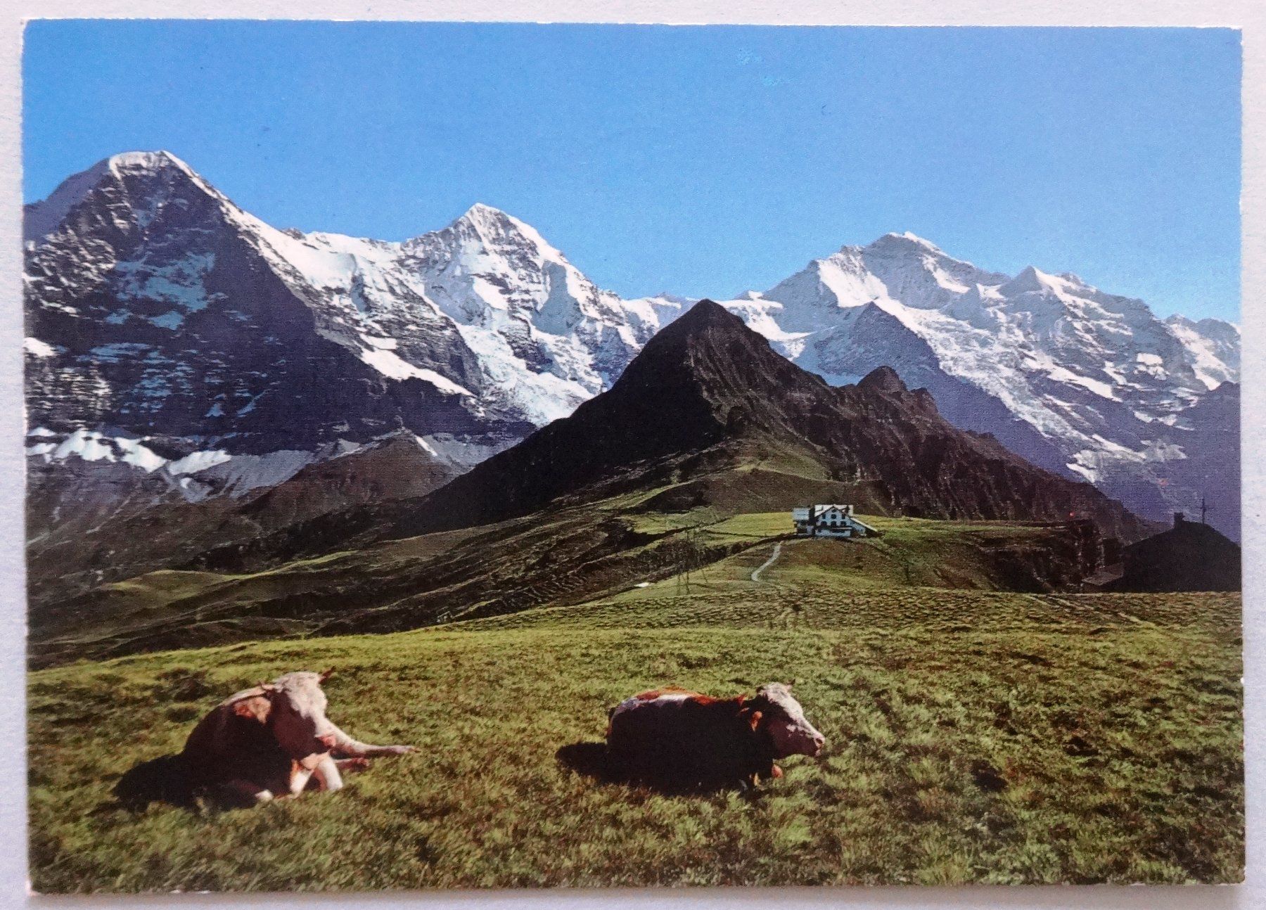Cartes postales: Männlichen Berggasthaus – D'occasion à Fétigny par Billy2miny