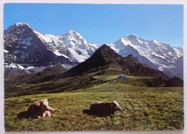 Männlichen Berggasthaus
