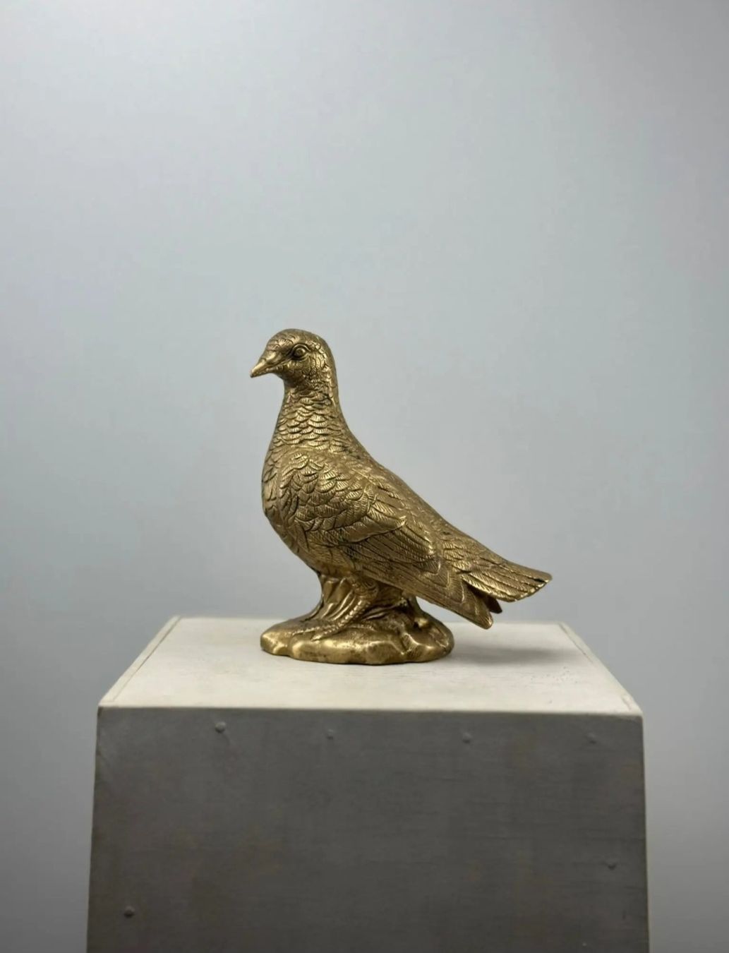 Sculture & Statue: Le pigeon en bronze – Nuovo (secondo la descrizione) da Lausanne venduto da Toko_Lausanne