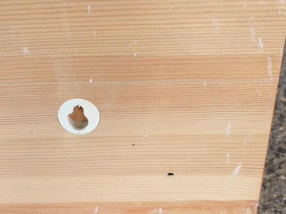 Guardaroba: KLEINE WANDGARDEROBE – Usato da Huttwil venduto da Kunterbuntli 2