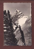 DAVOS - Tinzenhorn - 1929
