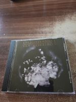 Van Morrison  Enlightenment