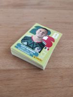 52 Panini Sticker WM 2026