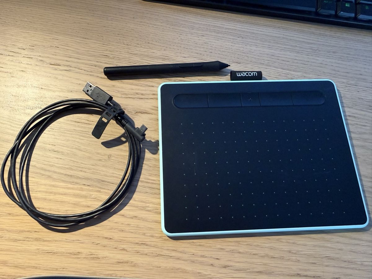 Wacom Tablet PC: Wacom Intuos Grafiktablet – Usato da Sargans venduto da nik_d58q