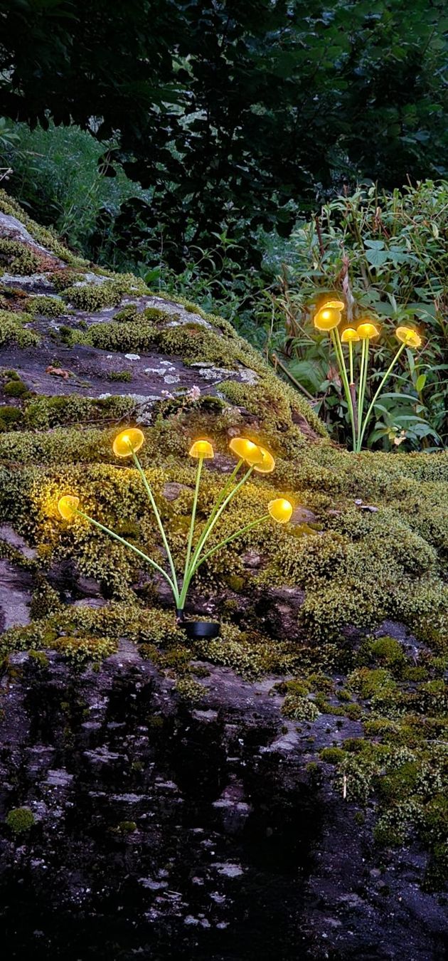 Tutte le decorazioni: Pilzlampe Garten,  LED, Warmweiss – Nuovo e nell'imballaggio originale da Edlibach venduto da frizliana 3