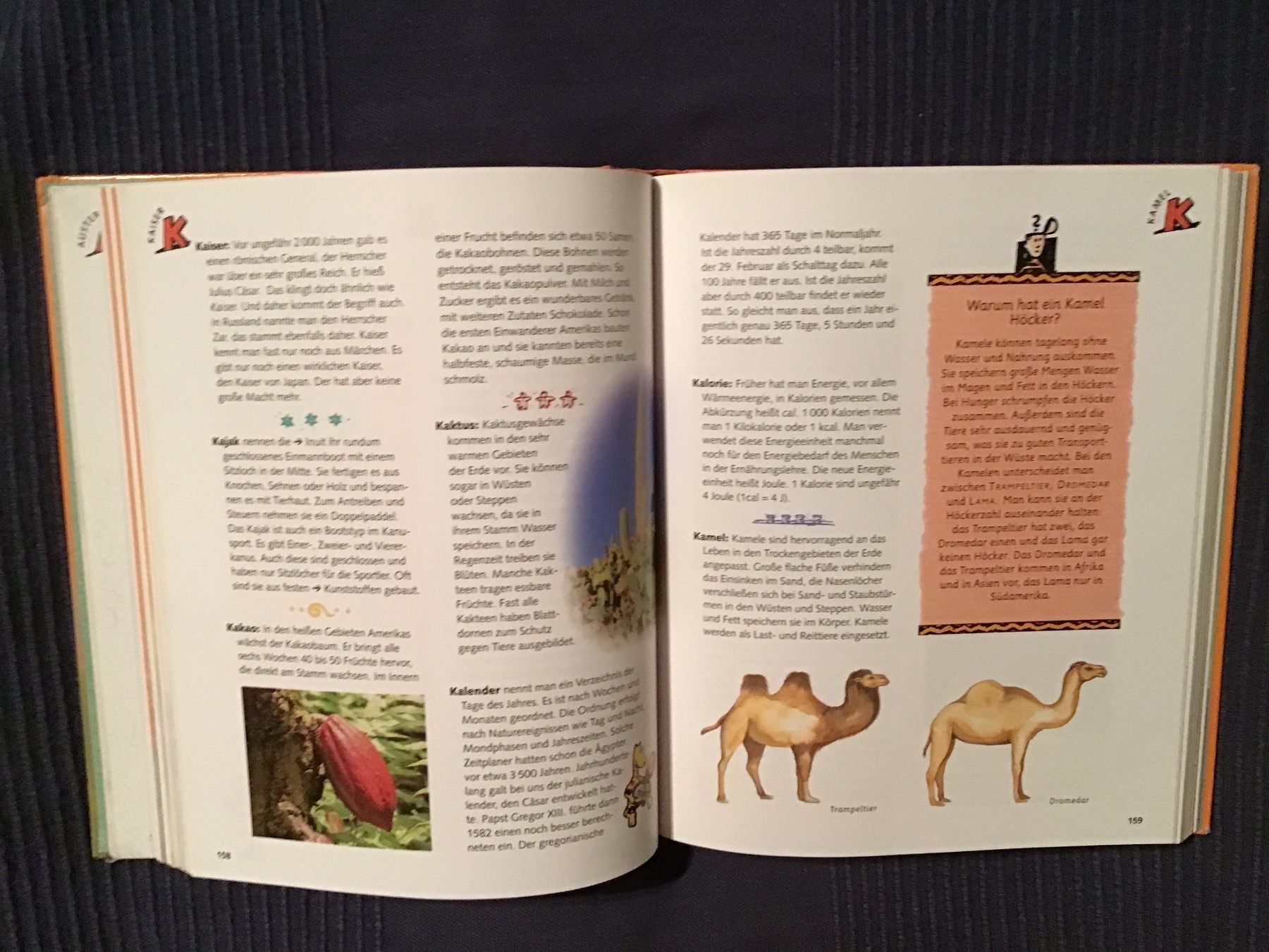 Libri: Bertelsmann Kinder Lexikon 4. aktualisierte Auflage – Usato da Rüti ZH venduto da Wernika1 1