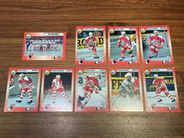 HC Martigny Saison 1993/94 Hockey Cards