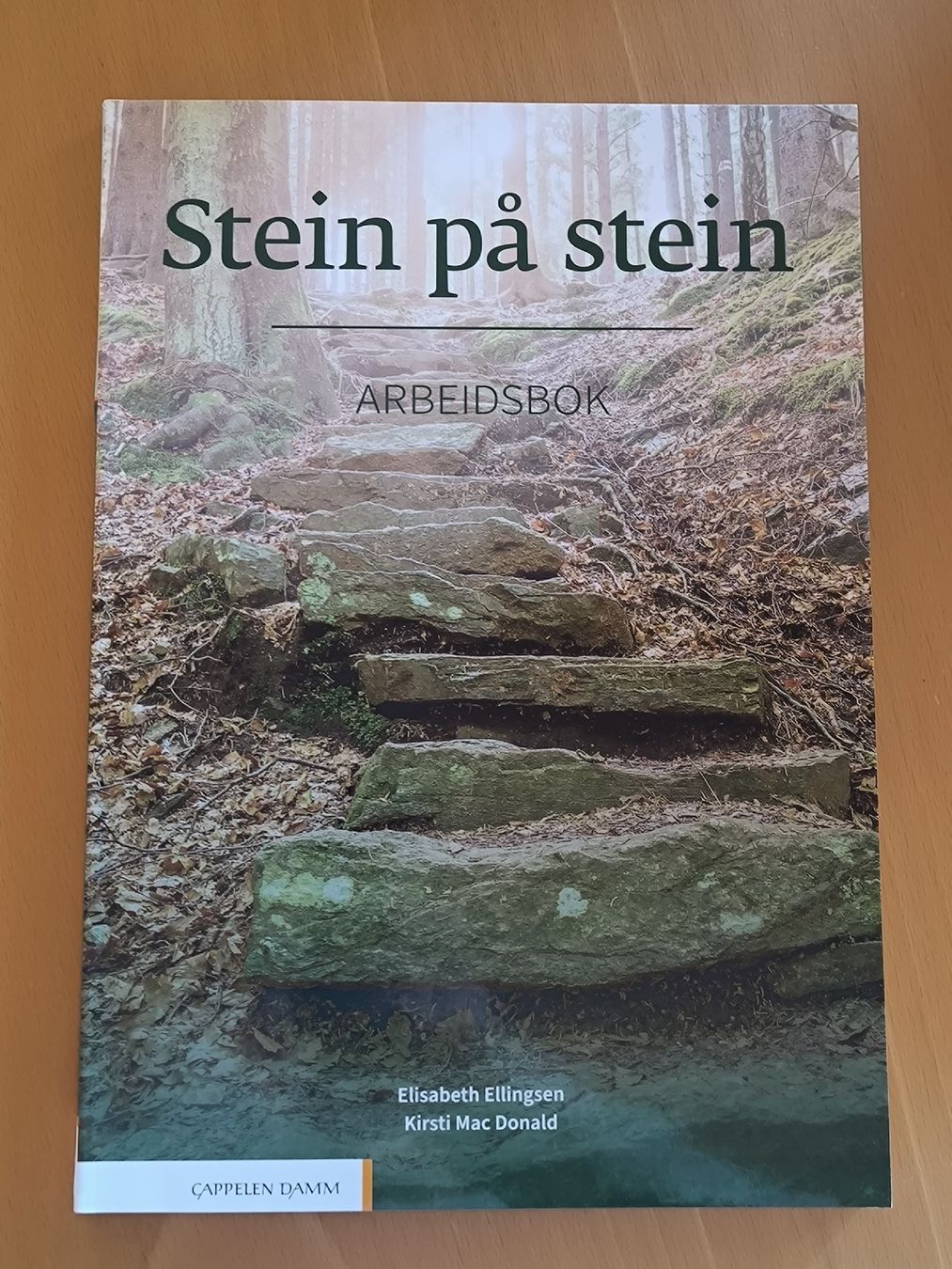 Libri: Stein på stein - Norwegisch Arbeitsbuch B1 – Nuovo e nell'imballaggio originale da Witterswil venduto da kru_llj8