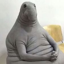 Profile image of Puffsack