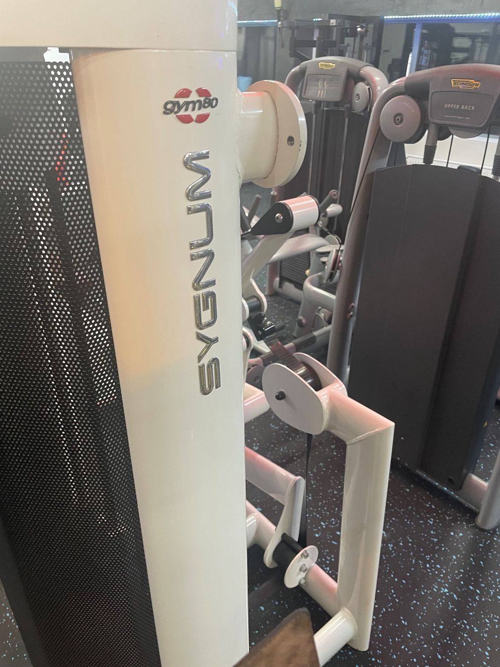 Hometrainer: Gym80 INNOVATION RUDERMASCHINE – Usato da Wiler b. Seedorf venduto da sas_82ys 1