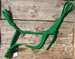 Knotenloses Halfter für das modische Kaltblut