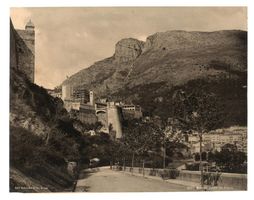 Schroeder & Cie, Zürich, um 1890, Monaco Palais 3287