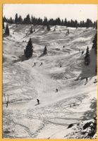 RIFFENMATT Selital Skigebiet, Skifahrer