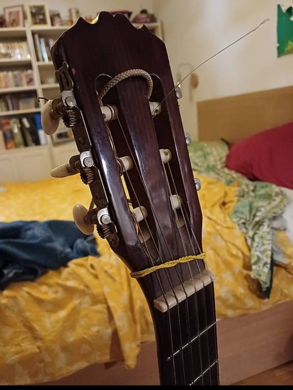 Instruments de musique: Chitarra classica Royal – D'occasion à Morbio Inferiore par supermammuth 2