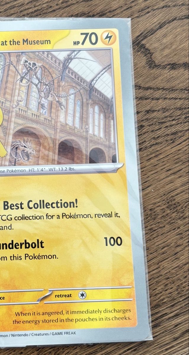Pokémon Carte collezionabili: Pikachu at the museum – Nuovo e nell'imballaggio originale da Sementina venduto da GiovanniPandolfi 1