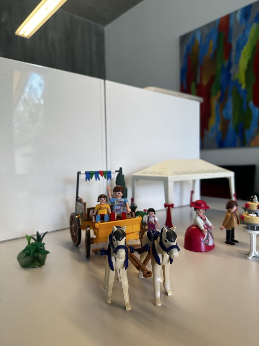 Playmobil Giocattoli: Playmobil Fest – Usato da Solothurn venduto da tab_8zc7
