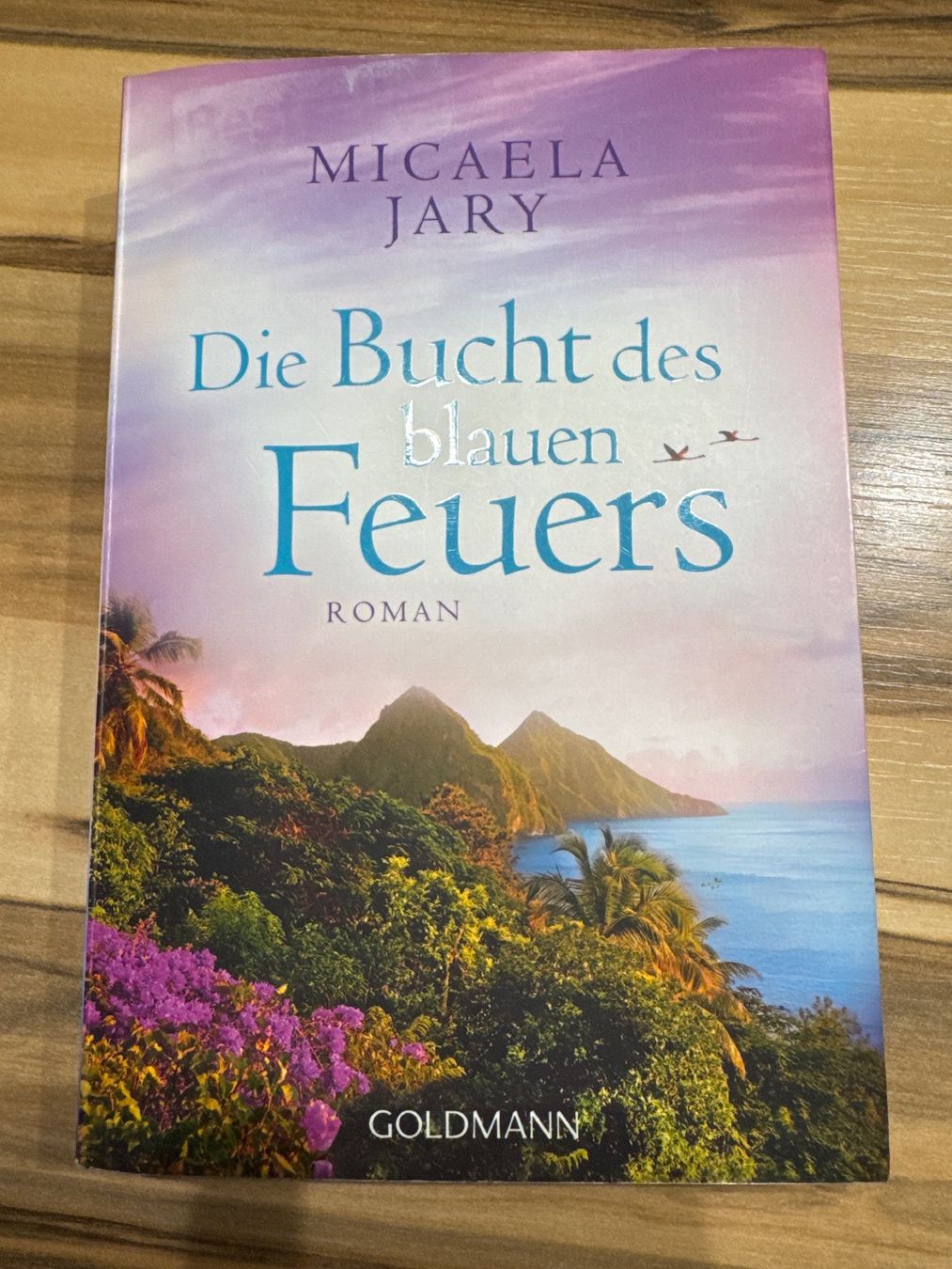 Libri: Die Bucht des blauen Feuers/ Buch – Usato da Geuensee venduto da jes_9xyk