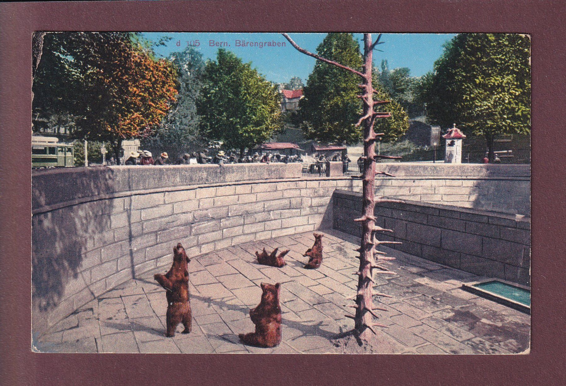 Cartoline postali: BERN - Bärengraben - 1931 – Usato da Pully venduto da nicecards