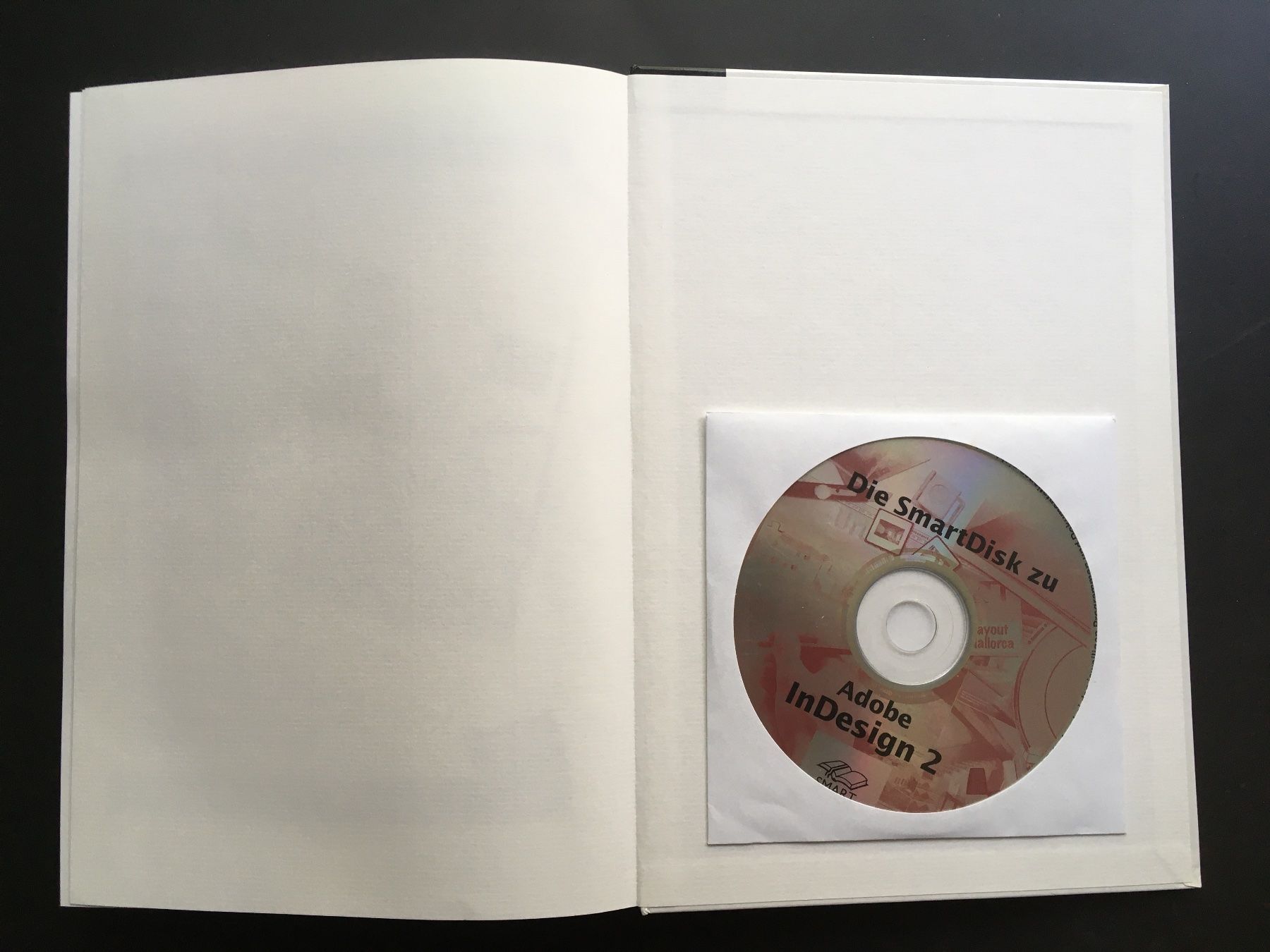 Libri: Buch: M. Eckert – Das Profibuch zu Adobe InDesign 2 (2003) – Usato da Basel venduto da loukash 5