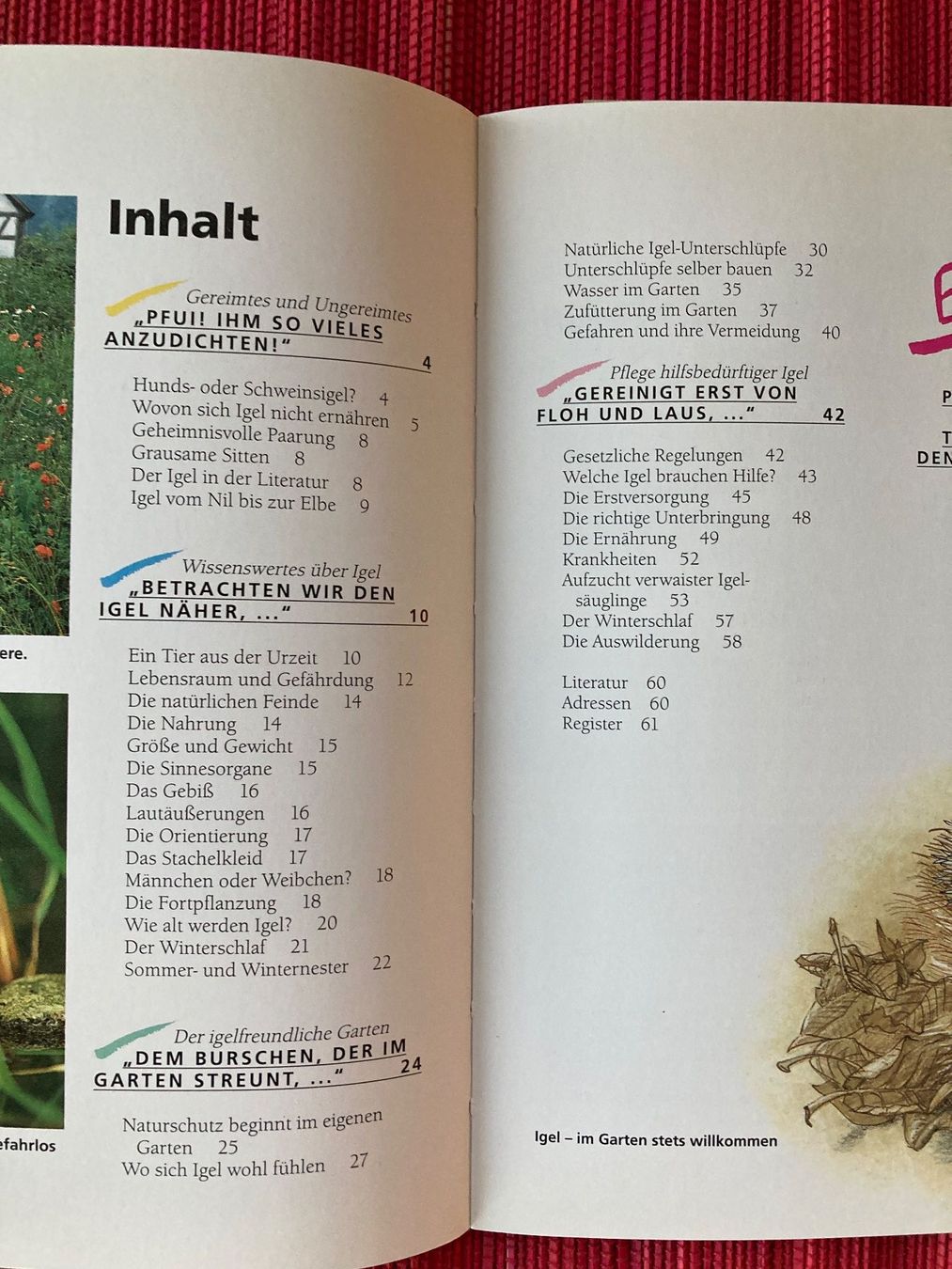 Libri: Igel in unserem Garten, Kosmos – Usato da Baden venduto da Yoyo1 1