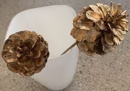 Klassisch schlichte Vase - Blumenvase ganz in Weiss