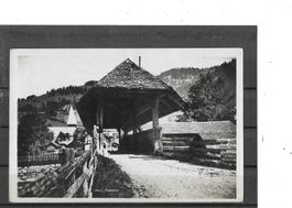 BE Saanen