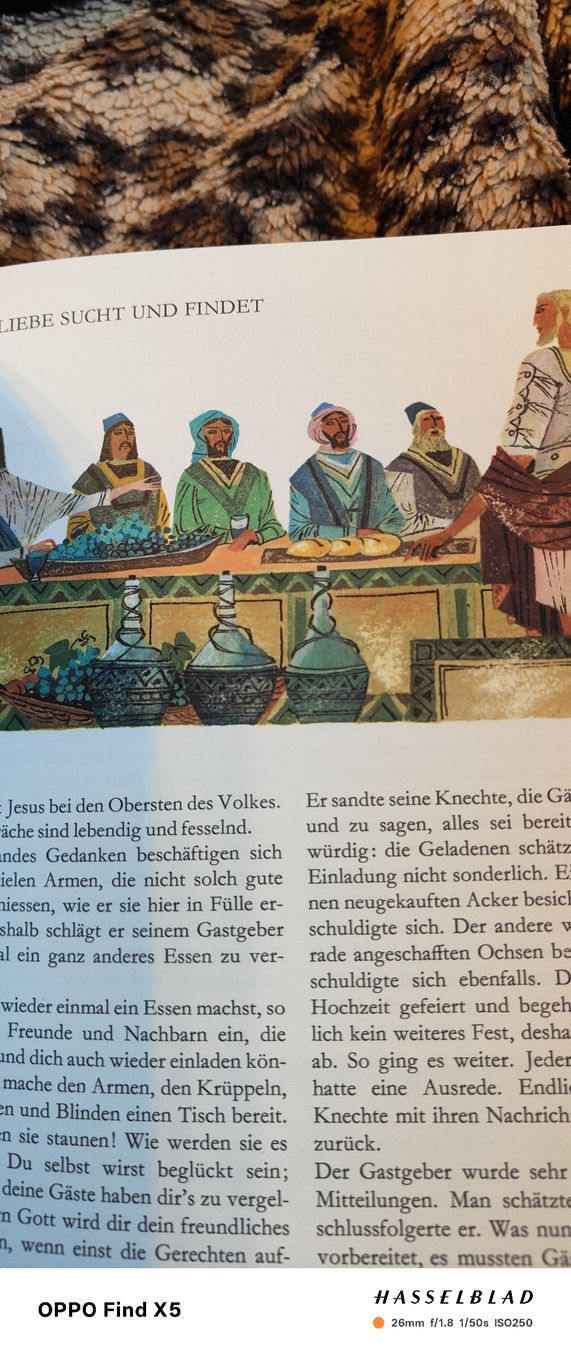 Livres: Kinderbibel – Neuf (Voir description) à Volken par katz5 3