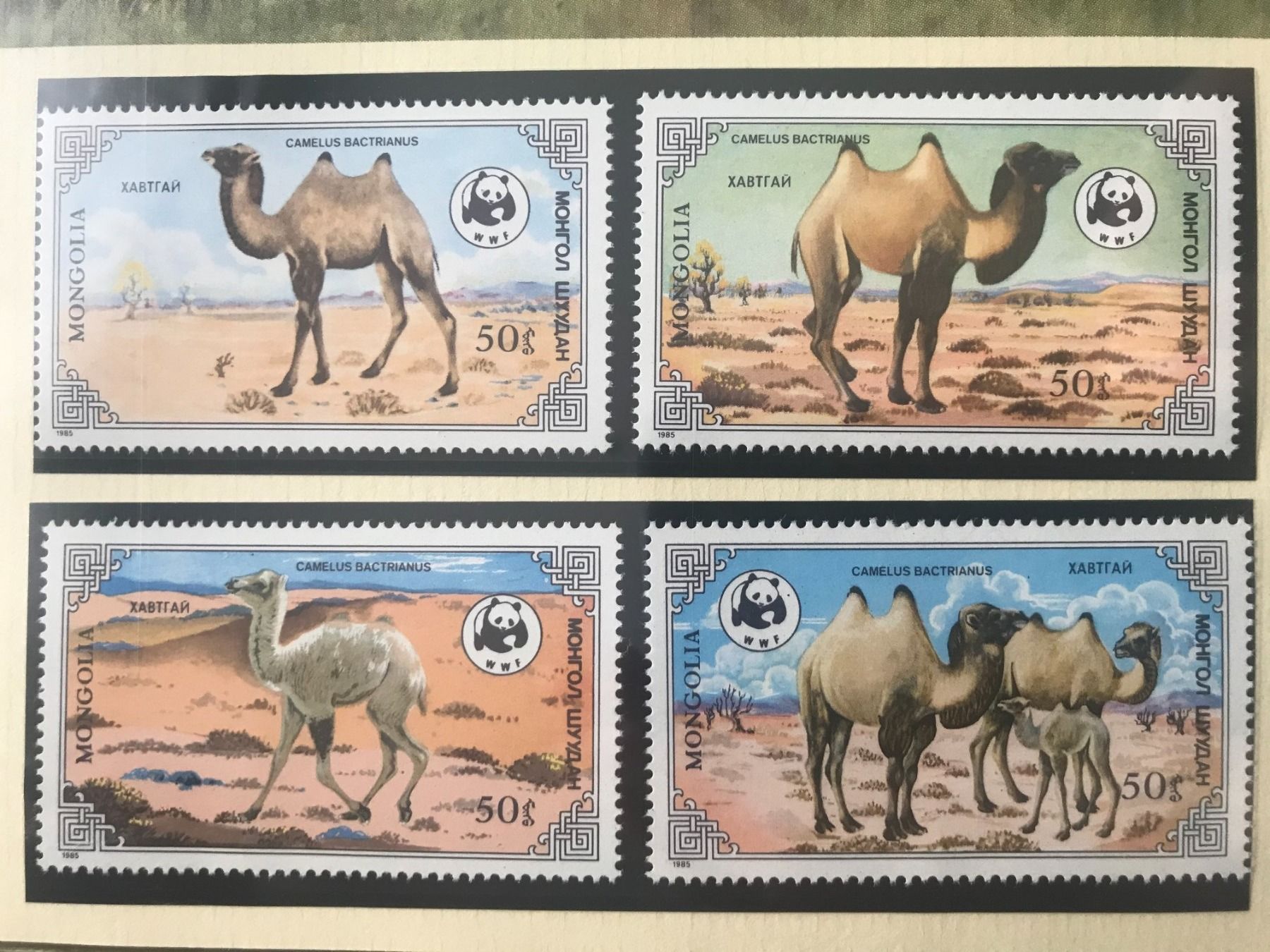 Tutti i francobolli: WWF Mongolei 1985 Zweihöckriges Kamel Satz postfrisch – Nuovo (secondo la descrizione) da Liestal venduto da schnueps