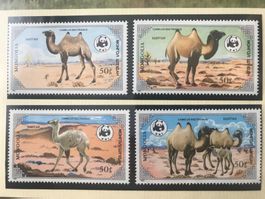 WWF Mongolei 1985 Zweihöckriges Kamel Satz postfrisch