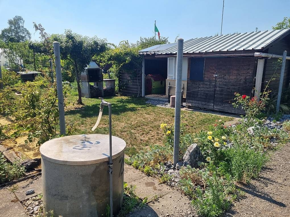 Cabanes de jardin & serres: Schrebergarten  – D'occasion à Wetzikon ZH par Paulo_1243 3